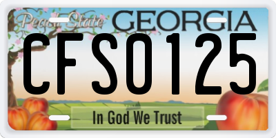 GA license plate CFS0125