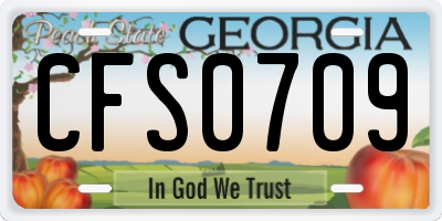 GA license plate CFS0709
