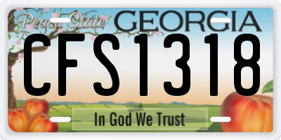 GA license plate CFS1318