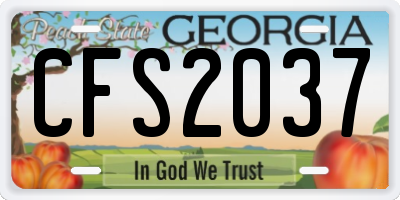 GA license plate CFS2037