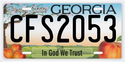 GA license plate CFS2053