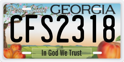GA license plate CFS2318