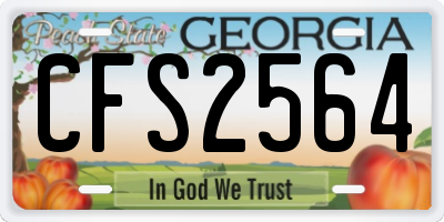 GA license plate CFS2564