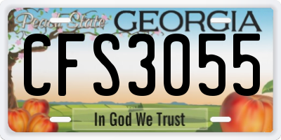 GA license plate CFS3055
