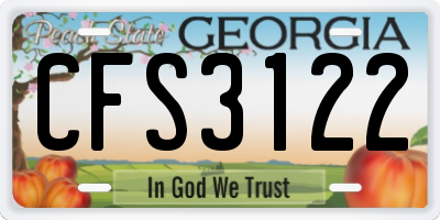 GA license plate CFS3122