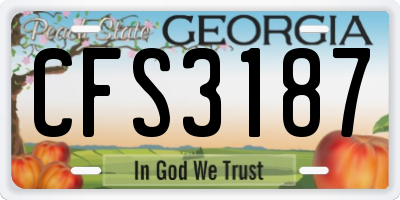 GA license plate CFS3187