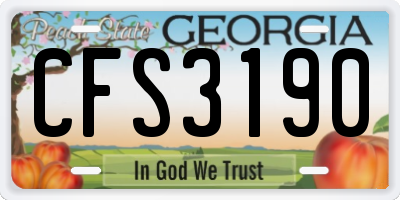GA license plate CFS3190