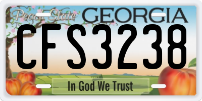GA license plate CFS3238