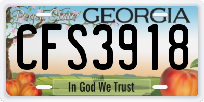 GA license plate CFS3918