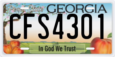 GA license plate CFS4301