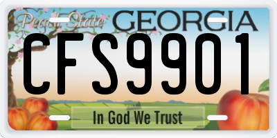 GA license plate CFS9901
