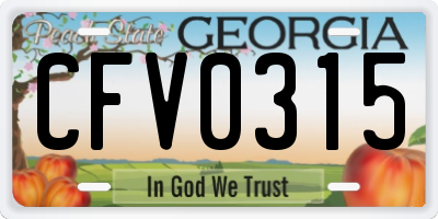 GA license plate CFV0315