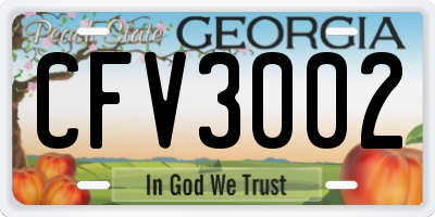 GA license plate CFV3002