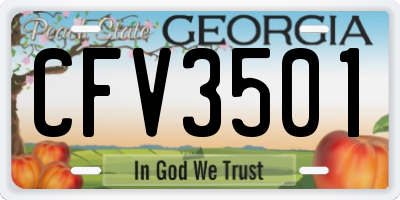 GA license plate CFV3501