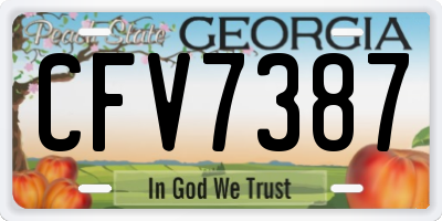 GA license plate CFV7387