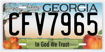 GA license plate CFV7965