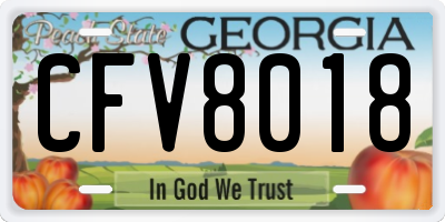 GA license plate CFV8018