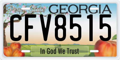 GA license plate CFV8515