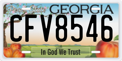 GA license plate CFV8546