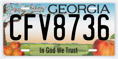 GA license plate CFV8736