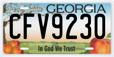 GA license plate CFV9230