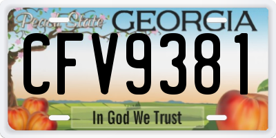 GA license plate CFV9381