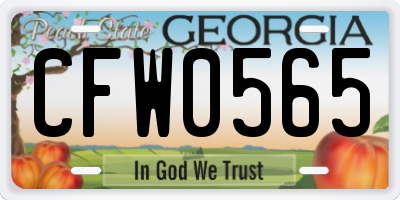GA license plate CFW0565