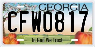 GA license plate CFW0817