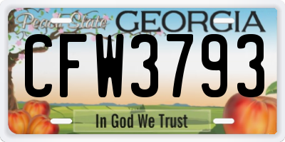 GA license plate CFW3793