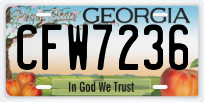 GA license plate CFW7236