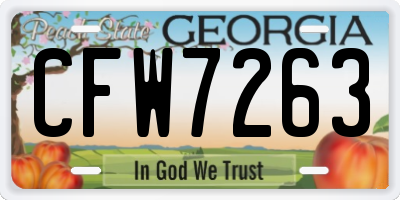 GA license plate CFW7263