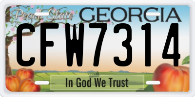 GA license plate CFW7314