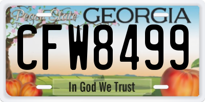 GA license plate CFW8499