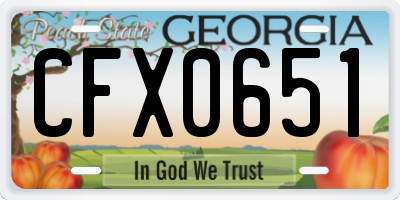 GA license plate CFX0651