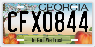 GA license plate CFX0844