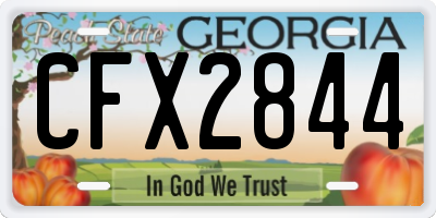 GA license plate CFX2844