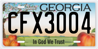 GA license plate CFX3004