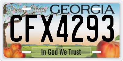 GA license plate CFX4293