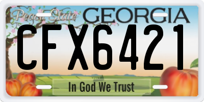 GA license plate CFX6421
