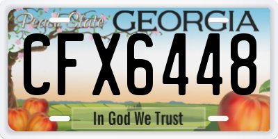 GA license plate CFX6448