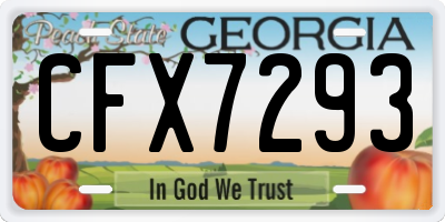 GA license plate CFX7293