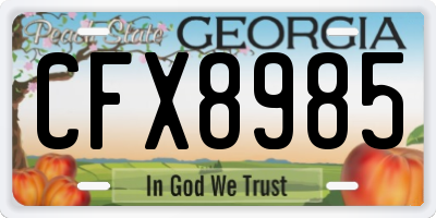GA license plate CFX8985