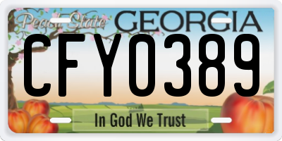 GA license plate CFY0389