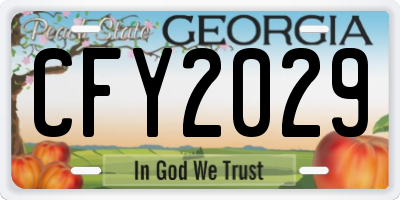 GA license plate CFY2029