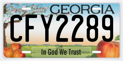 GA license plate CFY2289