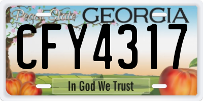 GA license plate CFY4317