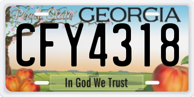 GA license plate CFY4318