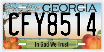 GA license plate CFY8514