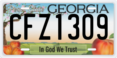 GA license plate CFZ1309
