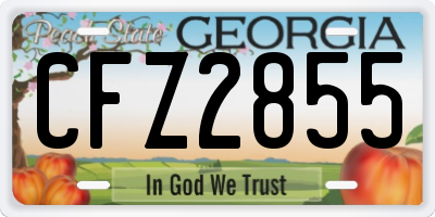 GA license plate CFZ2855
